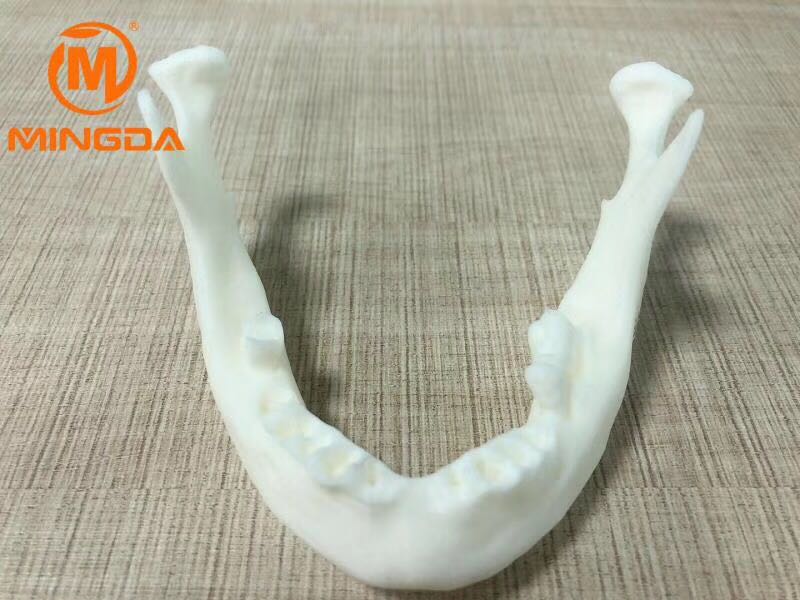工业级3D打印机在牙科行业的应用(图2)